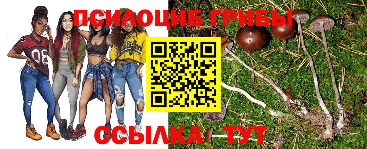 Галлюциногенные грибы мухоморы Тула